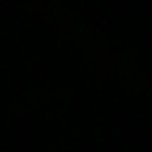 Meet your Posher, Harry